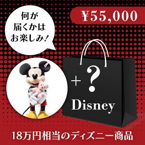 yV^Ctz BLACK FRIDAY nbs[obO 55,000~ fBYj[ ʂ LZbg ʂ efBxA  N} F xA xr[ LbY oY j 蕨 Mtg  ʂ 