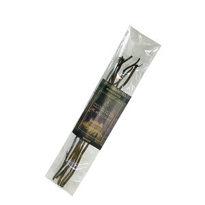 ycXzMODERN NOTES u`XeBbN ~j BROWNi23cm/6{j