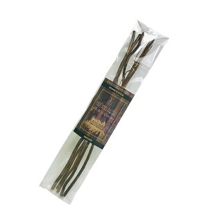 ycXzMODERN NOTES u`XeBbN M[ BROWNi28cm/5{j