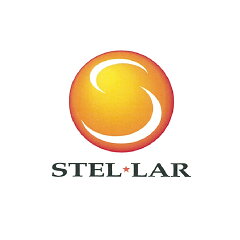ステラＮＥＸＴ