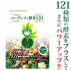 [Oiƍyf121 i100j 1  y[Oiz ~hV̂ [OiܗL220mg͂̂܂܂ 121ނ̍yf(AyGLX)vX Tv ؕs 