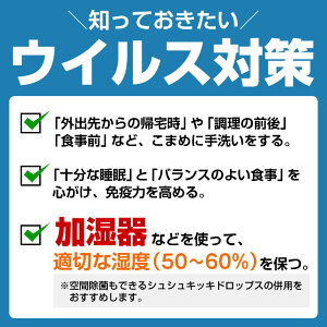 シュシュキッキ<ドロップス>300mL☆空間除菌部屋除菌ウイルスウィルス加湿器除菌空気カビ水あか抗菌カビ予防消臭無臭☆