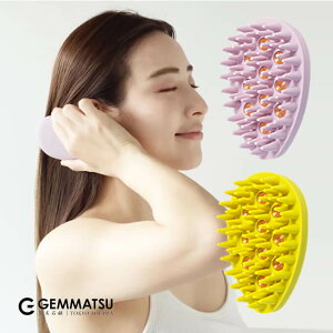 Ό G-ZERO COIL W[[RC }CNJg CIuViIׂJ[^1j