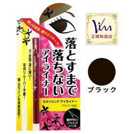 ビナ薬粧 スタイリング アイライナー (ブラック)