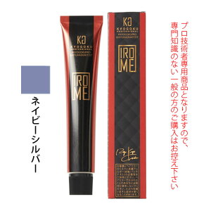 KYOGOKU IROME �V���o�[�R���N�V���� �l�C�r�[�V���o�[ 80g�i��1�܁j ��򕔊O�i