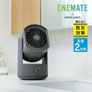 [dtH[fBOT[L[^[ O[ AFC-275B AsbNXC^[iVi ^ [d T[L[^[ AEghA RpNg VvfUC ȃXy[X APIX INTL RXO