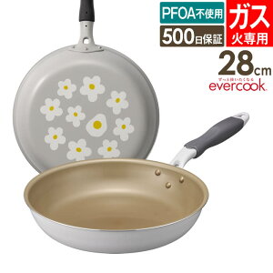 evercook �G�o�[�N�b�N �K�X��p �y�� �t���C�p�� 28cm �ԕ��O���[ EGFP28PGY �h�E�V�V�� �^ �K�X�ΑΉ� �t���C�p�� �ł��t���ɂ��� ������ ��v DOSHISHA �y�� �y�� PFOA�s�g�p ��̓� �L�O�� �v���[��