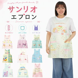 サンリオ エプロン 保育士 介護士 ヘルパー サンリオ キャラクター クロミ シナモロール 大人 かわいい レディース ギフト プレゼント 2026新作