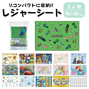 LN^[ W[V[g sNjbNV[g }CNtg |P ݂炵 fBYj[ vZX  ^ X|[c O RpNg 1lp q l 90×60cm RpNg