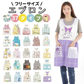 キャラクター エプロン 保育士 介護士 ヘルパー スヌーピー ディズニー サンリオ ミッフィー ムーミン 絵本キャラクター 大人 かわいい レディース ギフト プレゼント 2025新作