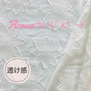 Rbg ԕ WK[hn m }VF z  JbgWK[hn | nhCh y      zCg ko37