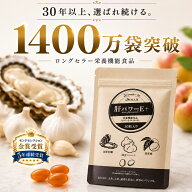 【最大半額★9/11 01:59まで！】【 肝パワーEプラス 1袋 30粒入り】ロングセラーにんにく サプリ 送料無…