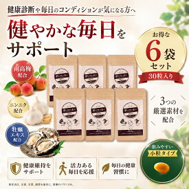 【 肝パワーEプラス 6袋（30粒入り）】ロングセラー ニンニク サプリ 送料無料 牡蠣 梅 国産 亜鉛 クエン酸 疲労回復　二日酔い　活力 父の日 男性 女性 30代 40代 50代 60代 人気　飲み会