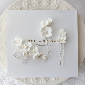 ySTELLA BRIDALzuC_ wbhs[X uEAWI 3s[XZbg zCg t[ Wp[ ԁbwbhhX wAANZT[ EFfBO Ԃ ԉ tHgEFfB