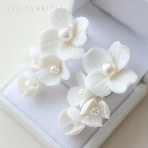 ySTELLA BRIDALzWp[ uC_ CO sAX uEAW IbzCg t[ p[ ^ EFfBO p[eB[ } }ANZT[ i Ԃ uC_ 