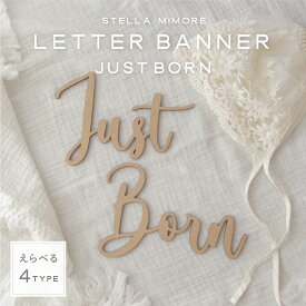 ニューボーン レターバナー 木製 赤ちゃん ジャストボーン バースデー 100 ベビー justborn newborn 月齢 ハッピーバースデー Stella Mimore