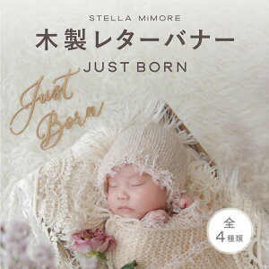 レターバナー ジャストボーン just born 木製 バースデー 赤ちゃん ニューボーン 100 ベビー newborn 月齢 ハッピーバースデー ガーランド Stella Mimore 1000円