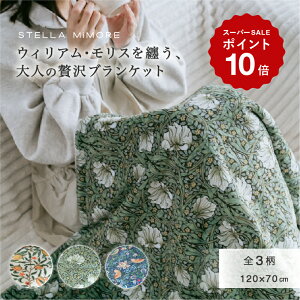 yr[TF񔄕iNX}XI[igzEBAEX uPbg Ђ| 唻 120×70cm  k ~ ItBX h ӂӂ tt t@[ g 􂦂 Mtg 