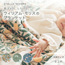 ウィリアム・モリス ベビーブランケット 高級ミンキープラッシュ ひざ掛け お昼寝布団 毛布 ふわふわ 大判 秋冬 防寒 赤ちゃん 新生児 おくるみ 出産祝いギフト 誕生日プレゼント 子供用 キッズ 保育園 高密度ミンキー