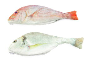 Olive-G A   yP[X 낢 G |[` P[X   ObY 2F Zbg