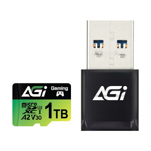 AGI 1TB TF138 }CNsdJ[h/CR138 Type AJ[h[_[, SwitchmF. MicroSDXC A2 U3 V30 4K UHS-I U3 (ǂݏoxő170MB/sAݑxő160MB/s) A_v