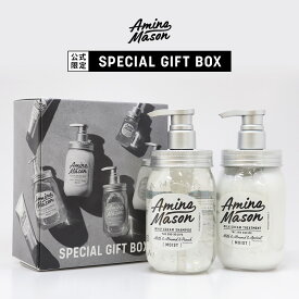 シャンプー トリートメント セット Amino Mason アミノメイソン アミノ酸 ボタニカル オーガニック ナイトケア スリーク うねり 寝ぐせ ノンシリコンシャンプー 450ml 2本 おしゃれ ギフト 母の日 父の日