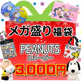楽天市場 スヌーピー 福袋の通販
