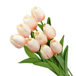 `[bv  A tFCNt[ CeA 10{Zbg ԑ u[P ֑}  AW {  VNt[