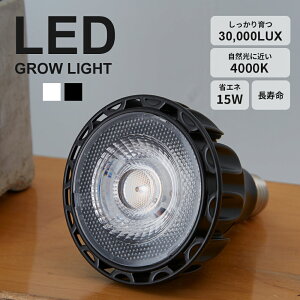 LED琬Cg A琬Cg ϗtA 琬Cg A 琬Cg n[u ͔|Cg |Cg ACg ȃGl  ApCg 4000K CeA  AC