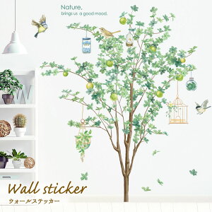 EH[XebJ[ A  V[ k XebJ[ DIY ] ͂ ϗtA Lb` c[ ǎ |X^[ ǎV[ t   CeA JtF  