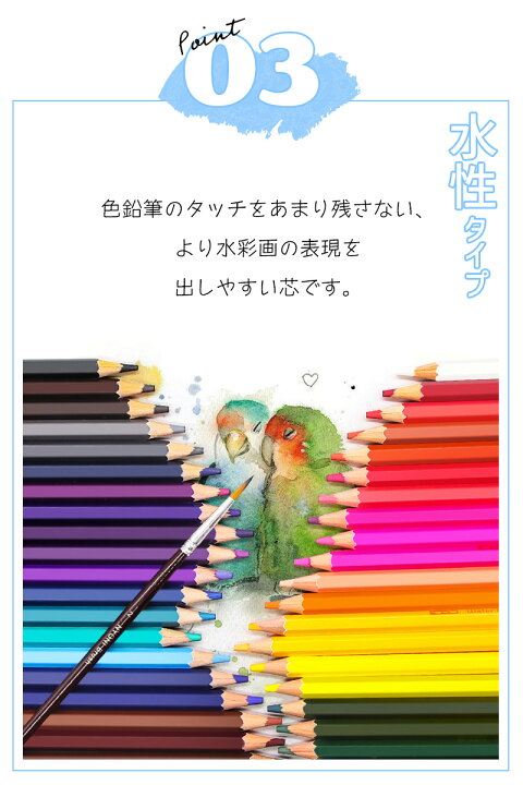 楽天市場】色鉛筆 72色セット カラーペンシル 油性 水性 アートセット  