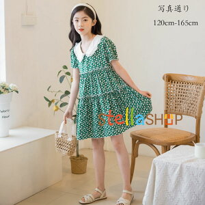 �؍��q���� �� �����s�[�X �V�t�H�� �����s ���̎q �����s�[�X �ԕ� �O���[�� ������� �����s �L�b�Y �����s�[�X �t���[���� �����s ���� ���P�l �����s�[�X ���s ���]�[�g �����s�[�X �w�� 