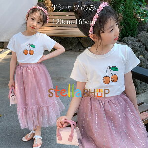 ؍q TVc ̎q ĕ Ē  TVc zCg W[ o ʊw LbY  TVc ڕ  gbvX TVc i ^ Snǂ TVc ێ T