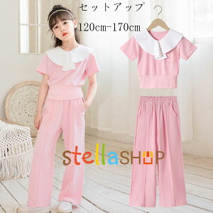 ؍q ̎q ZbgAbv sN 2_Zbg LbY tVc+XEFbgpc  ㉺Zbg K[Y w ʊw i ^  Y{ pcZbg 킢 