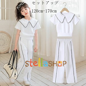 ؍q ̎q ZbgAbv zCg 2_Zbg LbY W[ ĕ tVc+XEFbgpc  ㉺Zbg K[Y w ʊw i ^  Y{ pc