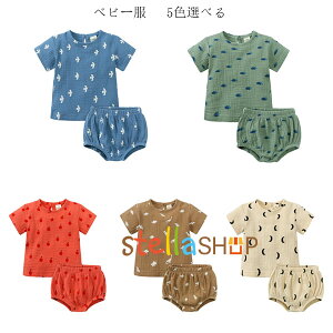 xr[ ĕ jp ZbgAbv A_ASAA W[ 2_Zbg LbY gbvX+V[c 2_Zbg Ԃ xr[ u[ O[ bh uE