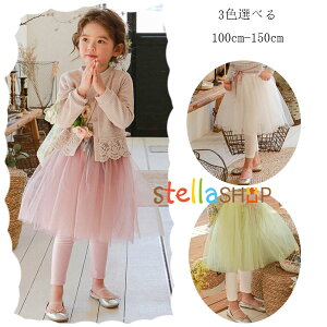 ؍q ̎q LbgXJ[g sN zCg ΐF XJ[gt MX t H LbY {gX ATu LbgXJ[g i w ʊw o j a