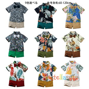 ؍q j̎q xr[ nC ZbgAbv s ][g Cxg j̎q a  \ LbY Vc+V[c+lN^C  am ԕ 3_Zbg Z oq