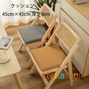 lpNbV 45cm×45cm 4cm zc }bg ԃNbV QNbV oNbV lpNbV XNGANbV  a rO[ Q Vv  