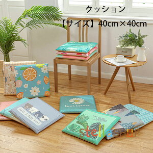 NbV ĕ 40cm×40cm  zc }bg ֎qAԃV[gAItBX`FA 킢 NbV sN u[ O[ y[W }bg NbV rOAQA 