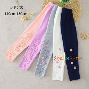 q ̎q MX t H ԕ hJ LbY MX pc {gX Y{ MX sN p[v O[ ubN   ԕ hJ MX i ʉ ʊw