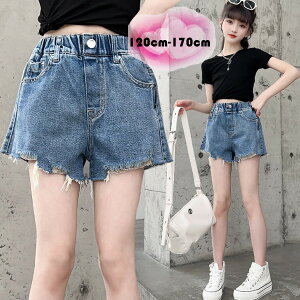 ؍q V[gpc ̎q ăpc u[ V[c fjpc Ē i ʊw ʉ LbY V[gpc n V[c  W[ fjpc W[Y s 