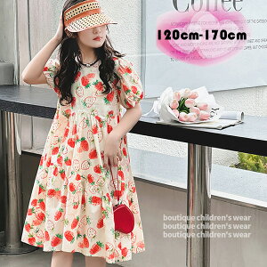  s[X q  s[X ̎q s[X Vi   s[X G Beʐ^ p[eB[ Cxg a LbY s[X Ē  JCC 