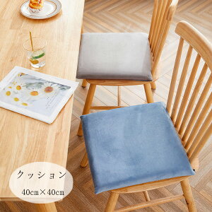  p^ NbV 40cm×40cm k ` `FApbh `FA NbV u[ O[ O[  ֎qp NbV Vzj 蕨 NbV zj j  