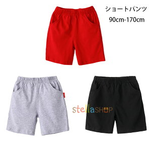 V[gpc LbY 90cm-170cm X|[cEFA X|[cpc j̎q ̎q V[c  Ē V[gpc bh O[ ubN 100% V[gpc ^ ʉ ʊw Lb