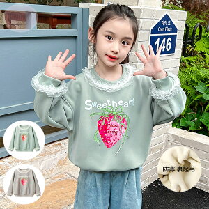 q h N XEFbg g[i[ 킢  XEFbg ̎q ~  XEFbg OCO[ O[  ێ g[i[  qǂ K[Y gbv