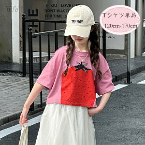 ؍q ̎q V[gTVc 킢 ĕ sN TVc LbY  TVc TVc i ʊw ][g Cxg a v[g qǂ  tVc 