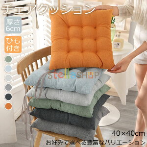 NbV  唻 zc  6cm 40×40cm tANbV lp 傫   `FANbV k    NbV xbh 傫 킢 ̈U  CX Nb