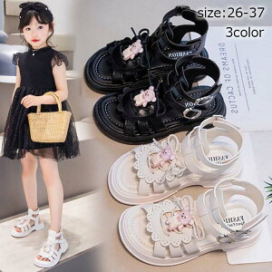 qT_ OfBG[^[T_ qǂC t ̎q   T_ sN  AC{[ LbY C LbYV[Y  tH[}C w Ǝ sAm