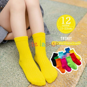 q C \bNX nC\bNX LbY j̎q ̎q xr[ ۈ牀 ct w 11`22cm q  q Mtg v[g j  w  ObY qǂ 